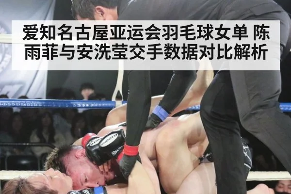 爱知名古屋亚运会羽毛球女单 陈雨菲与安洗莹交手数据对比解析